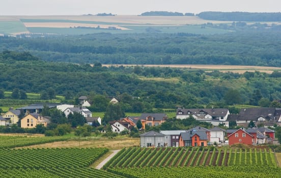 View over landscape with houses, forest, vineyards and grainfields