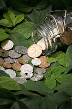 coins from various countries spilled out of a bottle onto the green leaves