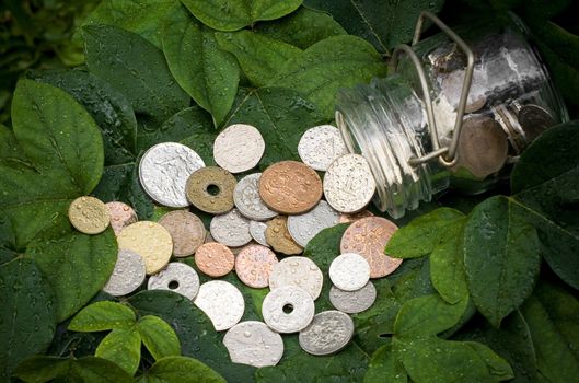 coins from various countries spilled out of a bottle onto the green leaves