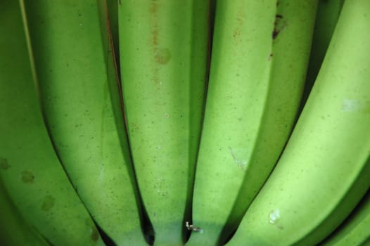 a bunch of banana that good for healthy food