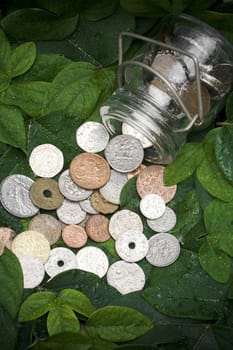 conceptual image of coins from various countries spilled out of a bottle onto the green leaves. giving back to nature