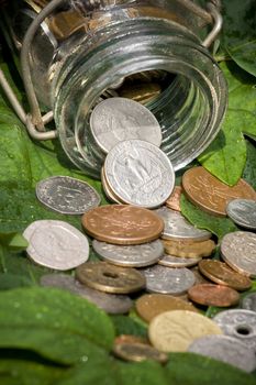 coins from various countries spilled out of a bottle onto the green leaves