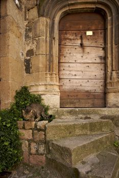 Entrance to a traditional French house with a cat sitting on stairs