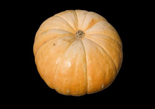 Organic grown pumpkin isolated on a black background