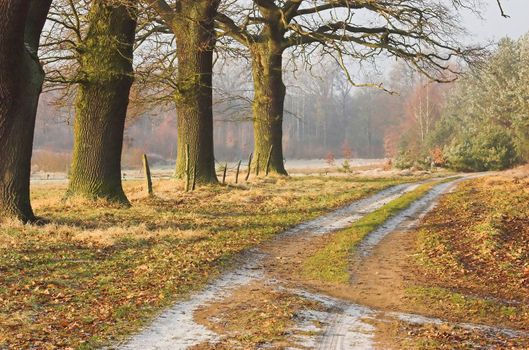 Country road