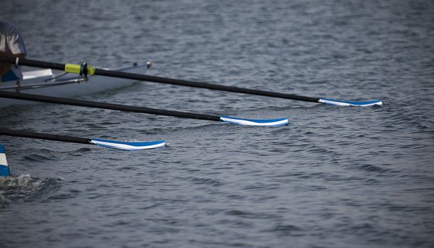 Oars lie on water.