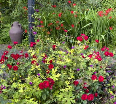 Garden with colorful flowers in full bloom
