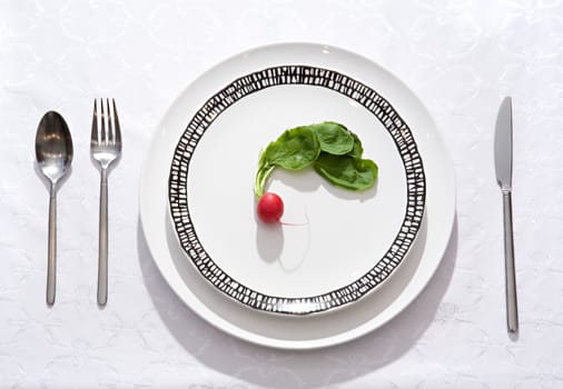 One small radish on a flat plate with a knife, a fork and a spoon
