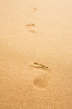 Traces of the person on yellow sand on a beach
