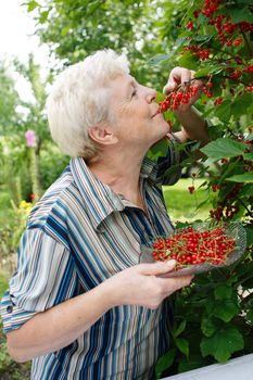 The elderly woman eats a currant