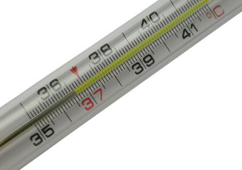 Mercurial thermometer scale (36,6) isolated on a white background (over white)