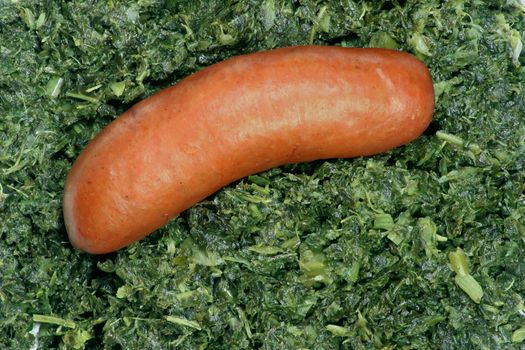 Chopped green cabbage with a fatty sausage, a traditional north-western German meal in winter. Sausage and cabbage are cooked together in the same pot. Meal is called 'Grünkohl mit Pinkel'.