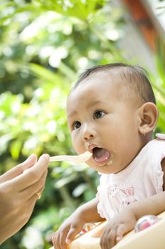 7 months asian baby girl open her mouth waiting a spoon of meal from her mother