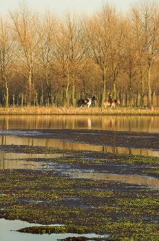 Horse riders by a turf covered canal in Spring