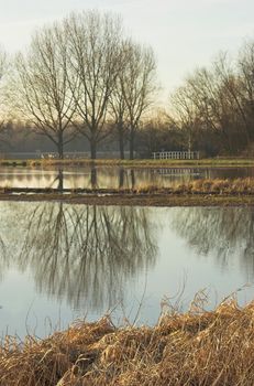 Dutch turf field in a nature park near Delft in early spring