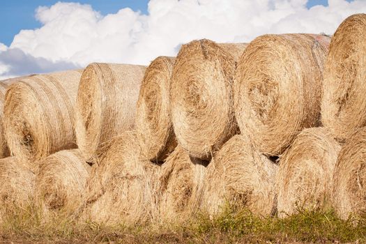 A big beautiful stack of round hay bales drying outdoors in sunlight