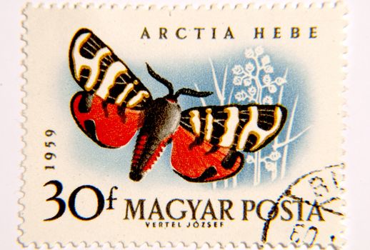 Hungary Circa 1959 Postage Stamp of Tiger Moth Scientific Name Arctia Hebe