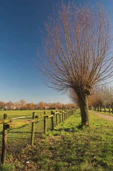 Recreation park in Rijswijk, Holland