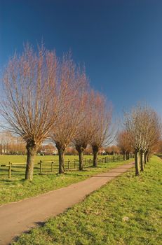 Recreation park in Rijswijk, Holland