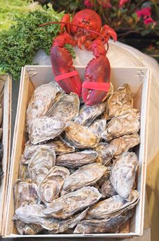 Belgian seafood restaurant in Brussels - seafood on display