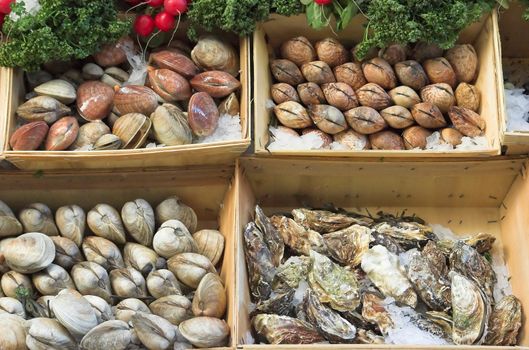 Belgian seafood restaurant in Brussels - seafood on display