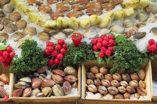 Belgian seafood restaurant in Brussels - seafood on display