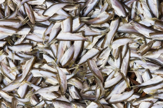 Close up of Dried fish taken in market place