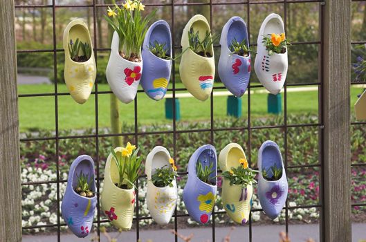 Dutch wooden clogs hanging on a steel fence with flowers inside