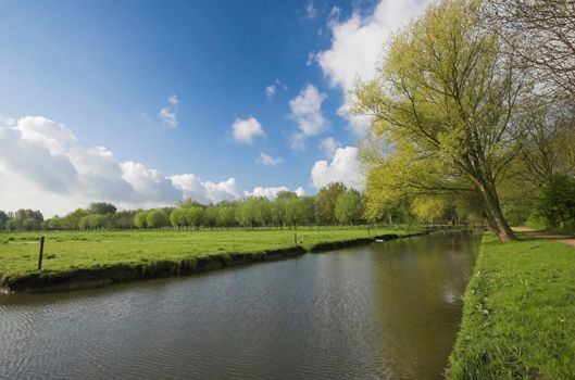 Dutch countryside in early Spring, a view of green field and willow woods