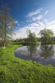 A water edge in a Dutch park in Spring