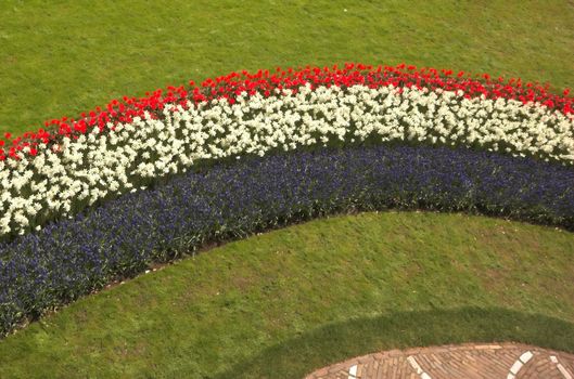 Flowery field of different kinds of flowers in Spring in the exhibition in Keukenhof