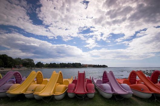 Dolphin-shaped water bicycles rowed at the edge of a sea