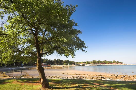 Croatian beach in the middle of Spring