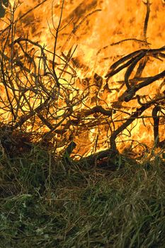 Grass and branches burn with intensity