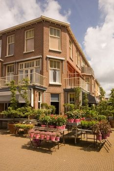 Flower shop in Rijswijk (Holland) at the corner of a street