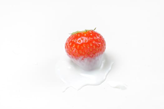 Red strawberry isolated on white dipped in yoghurt