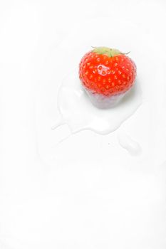 Red strawberry isolated on white dipped in yoghurt