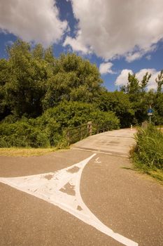 Bicycle track in a Dutch park in summer