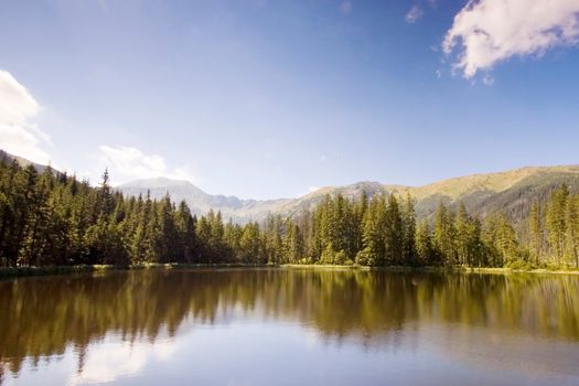 Mountain lake in Polish Tatras reflecting a forest