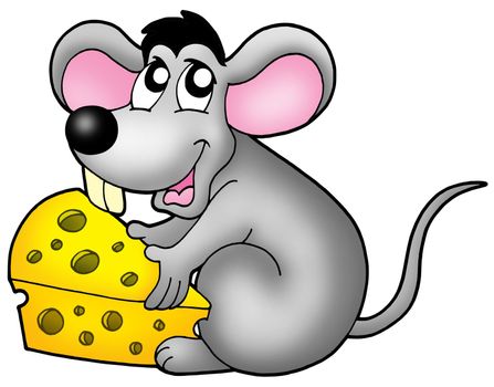 Cute mouse holding cheese - color illustration.