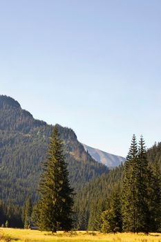 View of a valley in Polish Tatra mountains