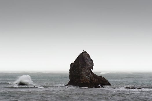 A rock is pounded by waves and wind in Nelson, New Zealand