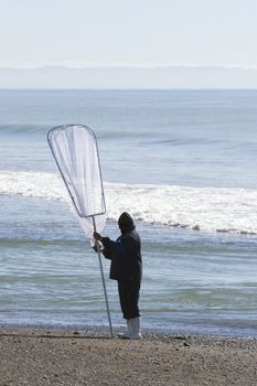 Start of the whitebaiting season, Haumoana, New Zealand