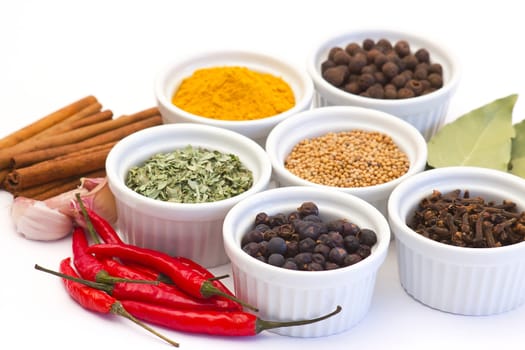 spices and flavorings