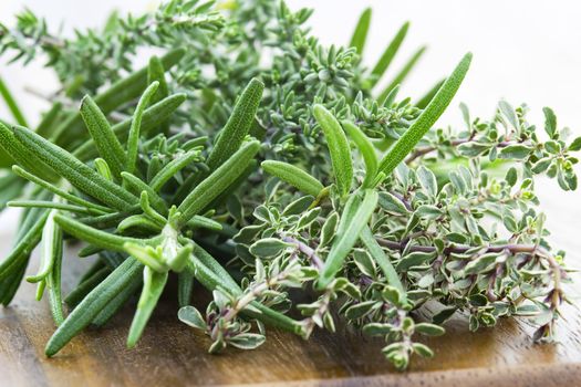 thyme and rosemary - fresh garden herbs