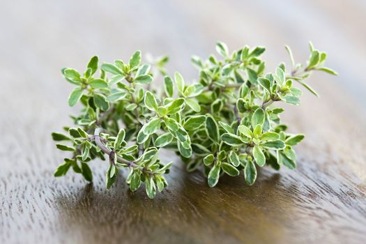 fresh thyme
