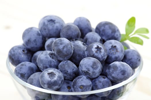 fresh blueberries in a bowl
