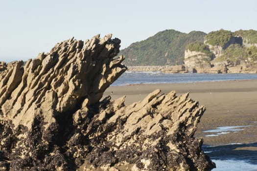 A mussell laden rock at Golden Bay, Nelson, New Zealand