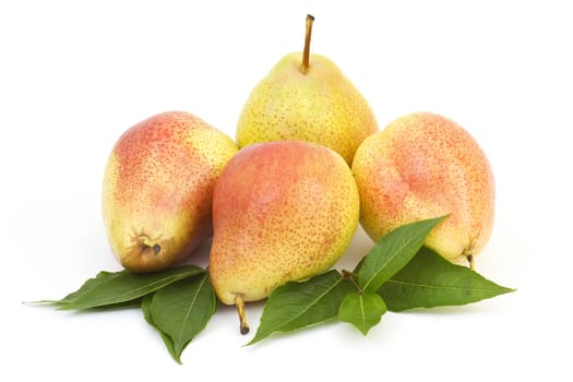 fresh pears