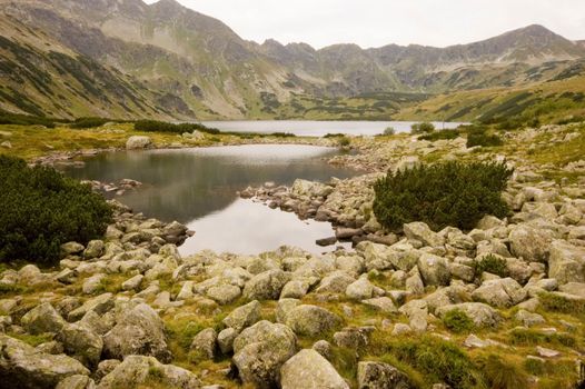 Mountain lake in Polish Tatra